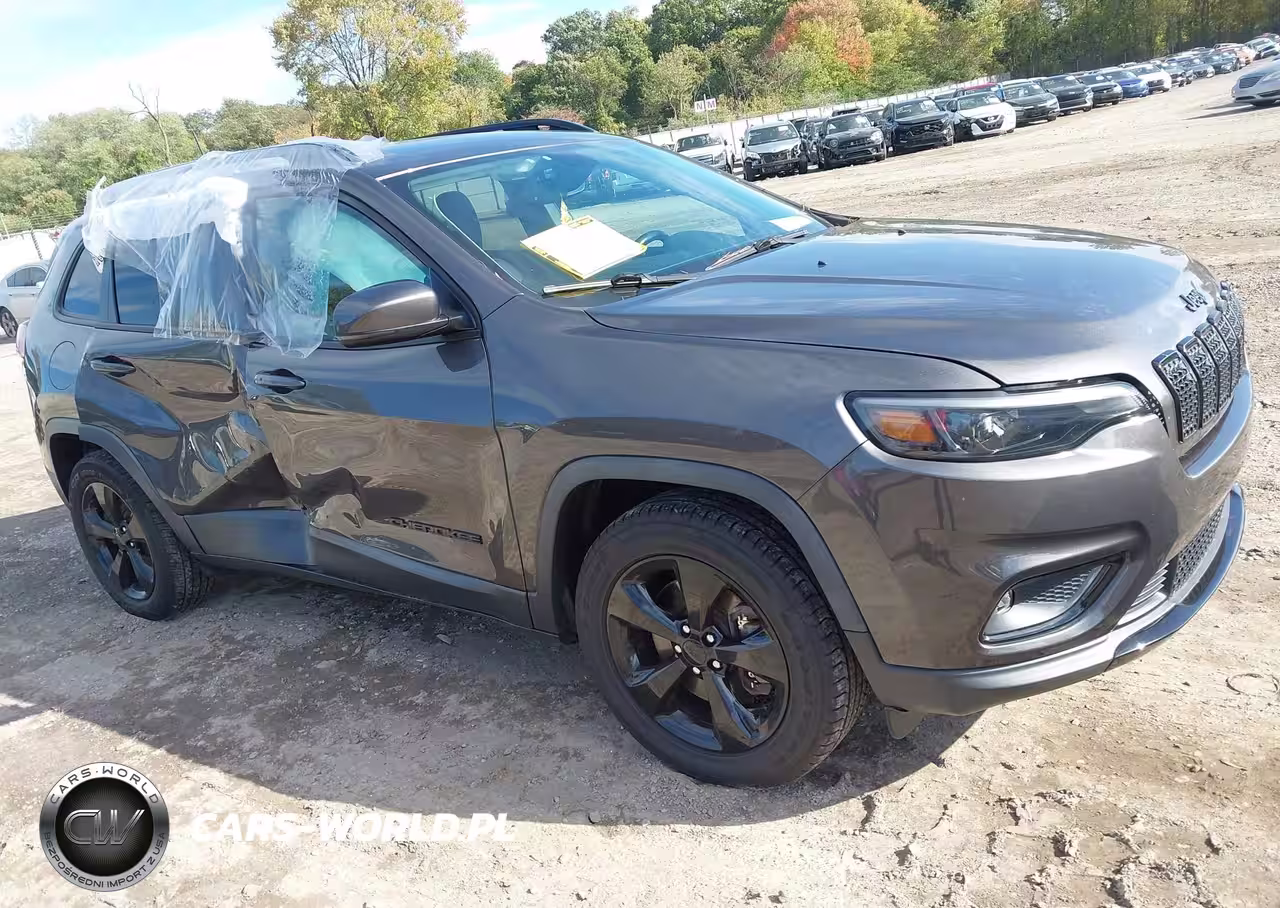 2019 Jeep Cherokee Altitude 4X4
