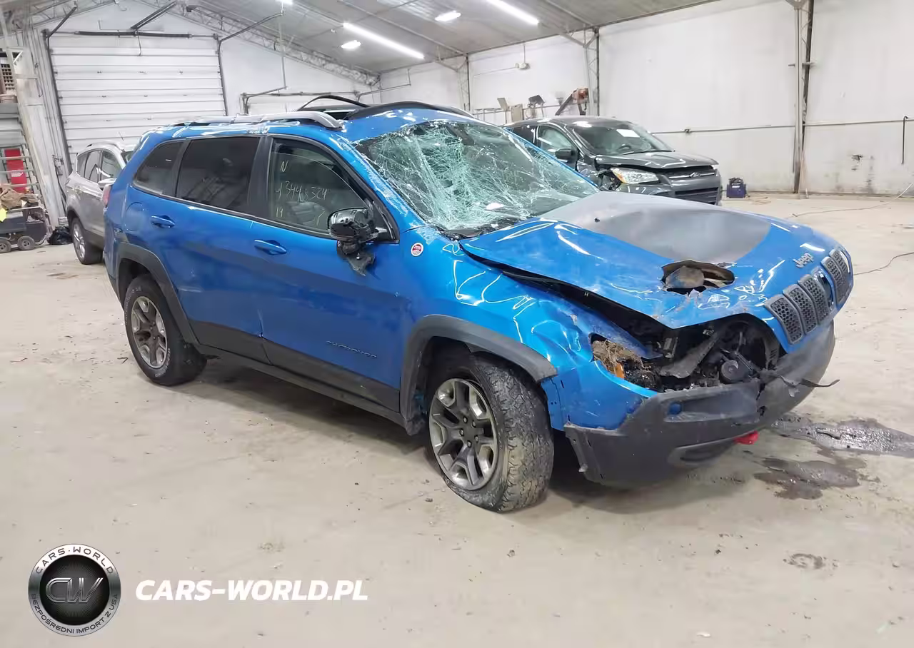 2019 Jeep Cherokee Trailhawk 4X4