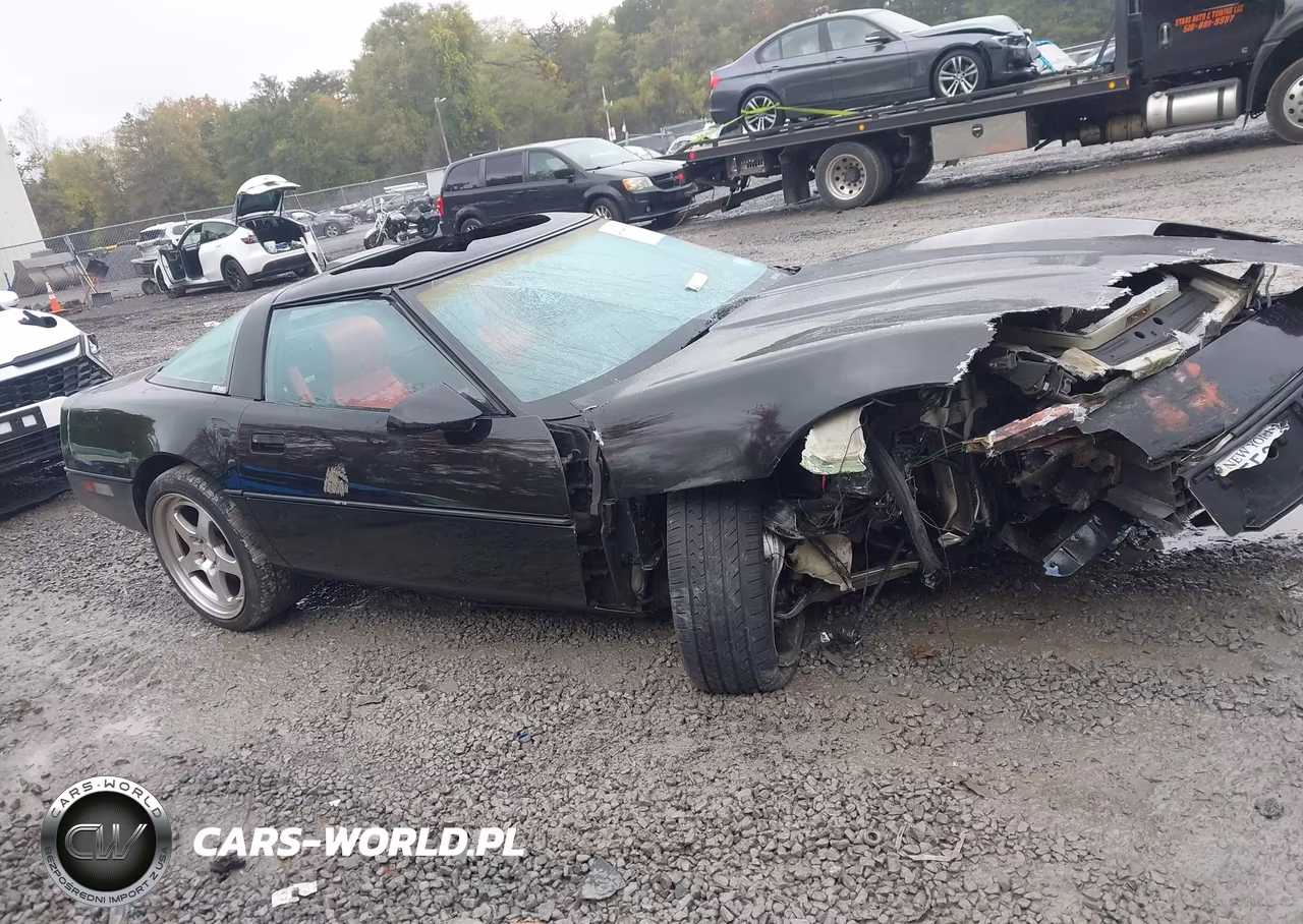 1989 Chevrolet Corvette VIN:1G1YY2182K5124006 - 13