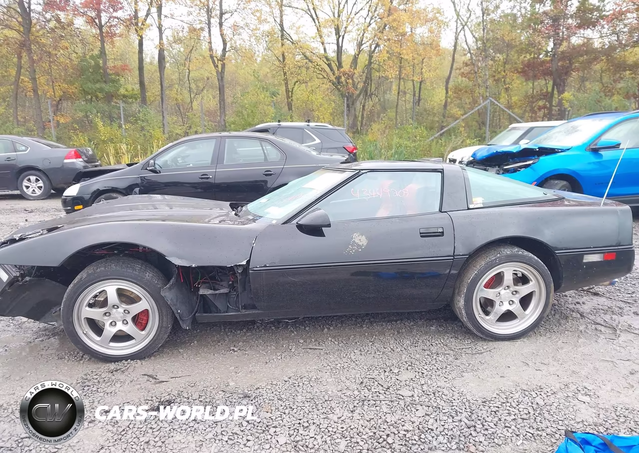 1989 Chevrolet Corvette VIN:1G1YY2182K5124006 - 14