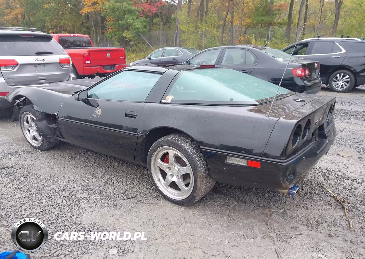 1989 Chevrolet Corvette VIN:1G1YY2182K5124006 - 3