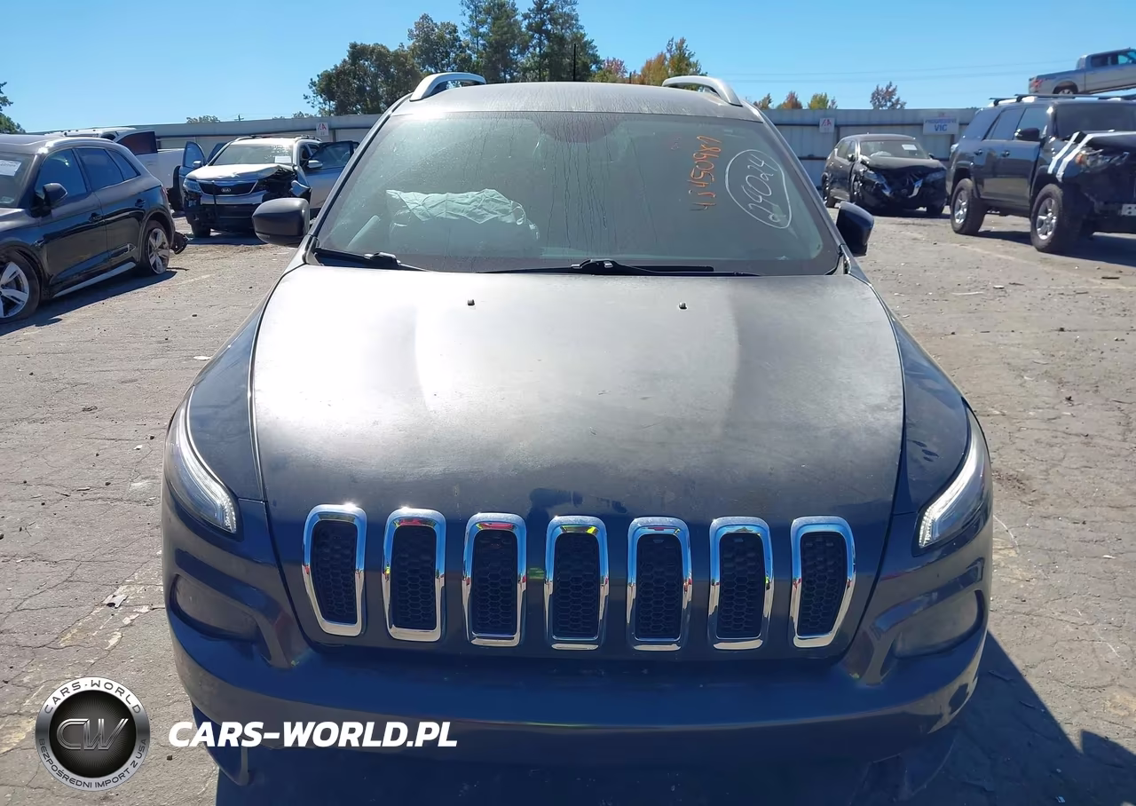 2016 Jeep Cherokee Limited VIN:1C4PJLDB1GW200417 - 12