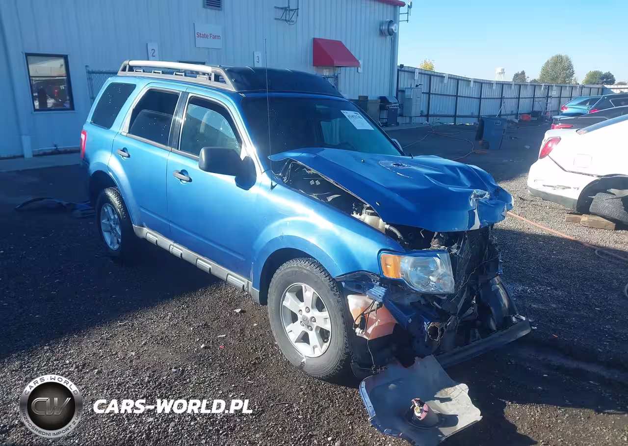 2010 Ford Escape Xlt