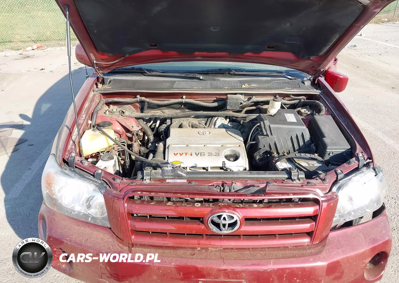 2004 Toyota Highlander V6 VIN:JTEEP21A640065473 - 10