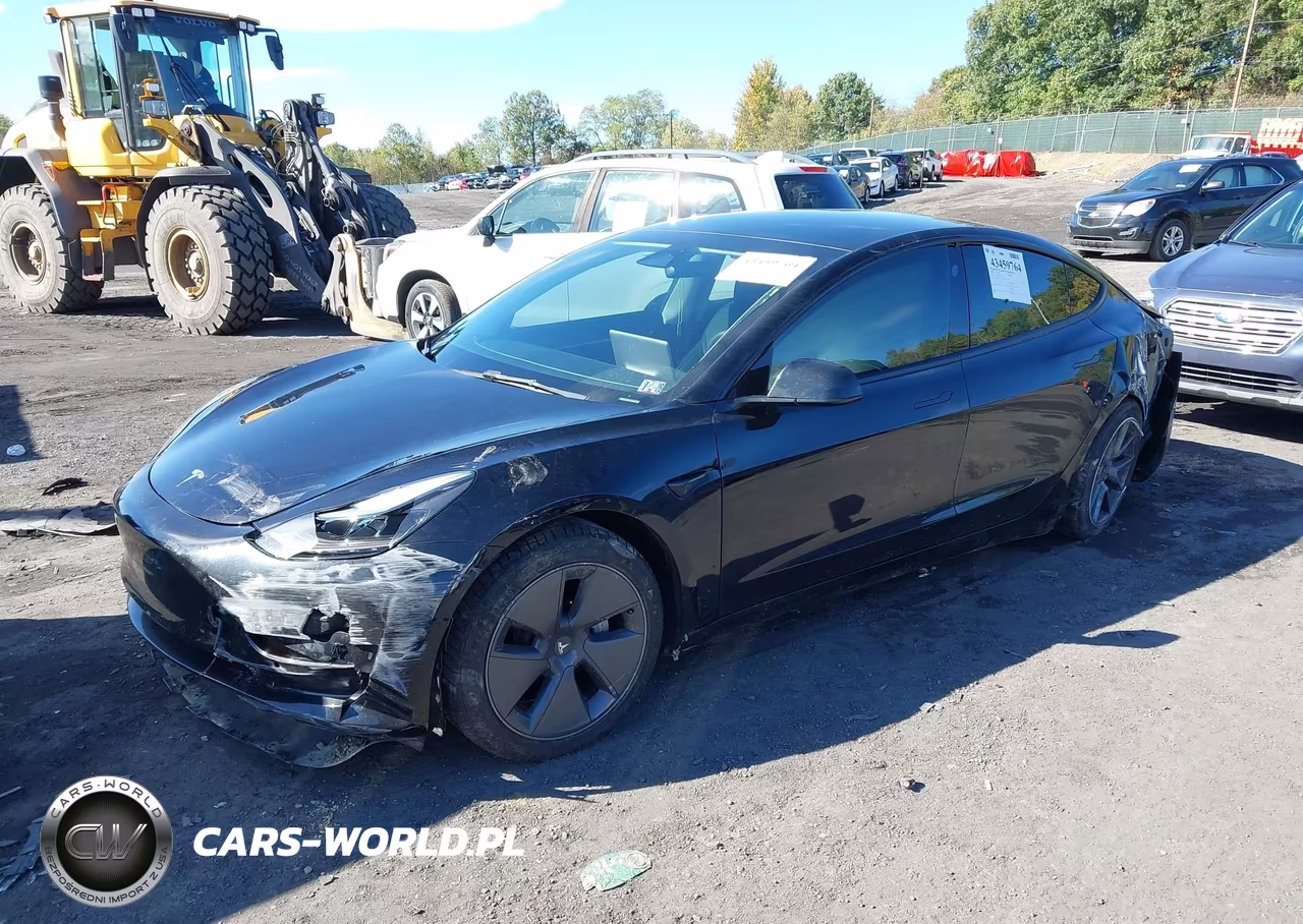 2022 Tesla Model 3 Rear-Wheel Drive VIN:5YJ3E1EA0NF338366 - 2
