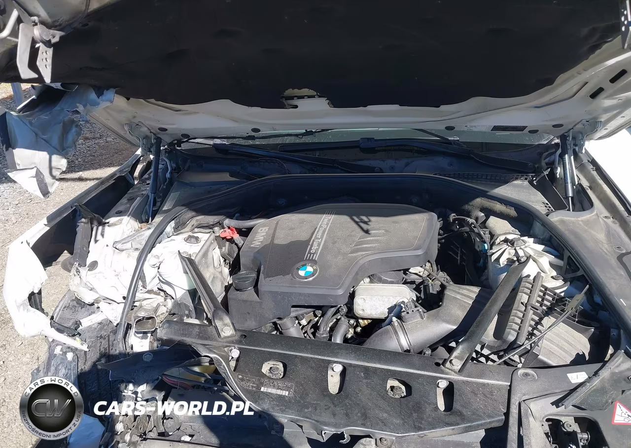 2015 BMW 528I VIN:WBA5A5C54FD516318 - 10