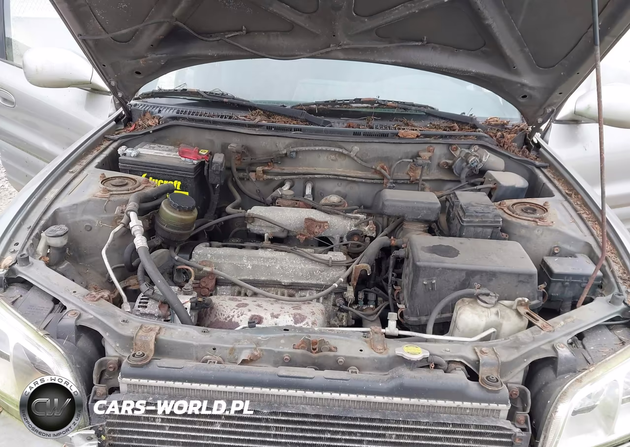 1999 Toyota Rav4 VIN:JT3GP10V6X7054761 - 10