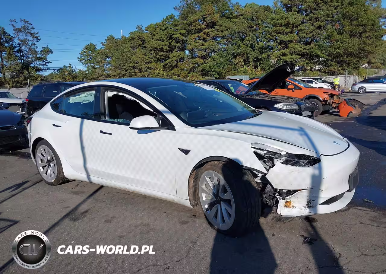 2023 Tesla Model 3 Rear-Wheel Drive