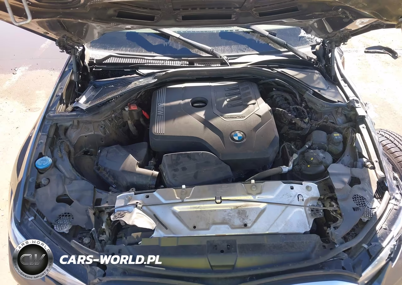 2020 BMW 330I VIN:WBA5R1C00LFH45538 - 10