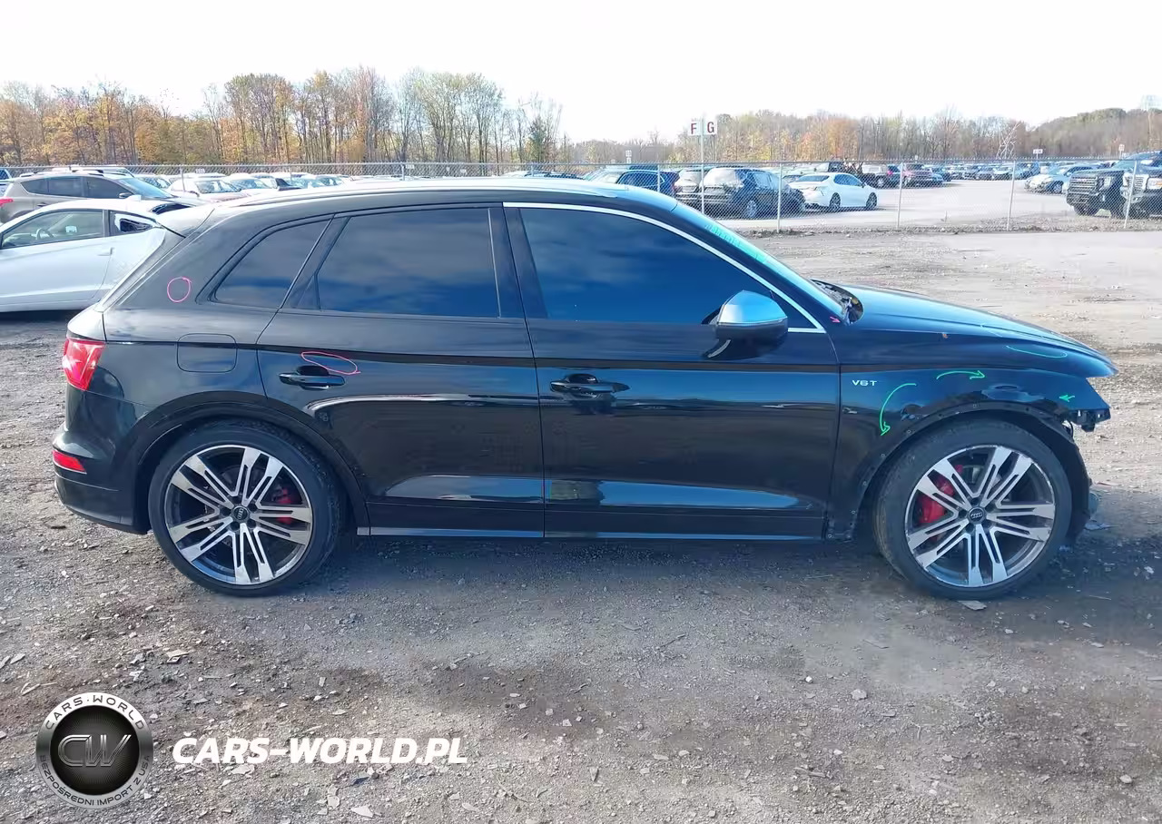 2018 Audi Sq5 3.0T Premium Plus VIN:WA1C4AFY9J2044468 - 13