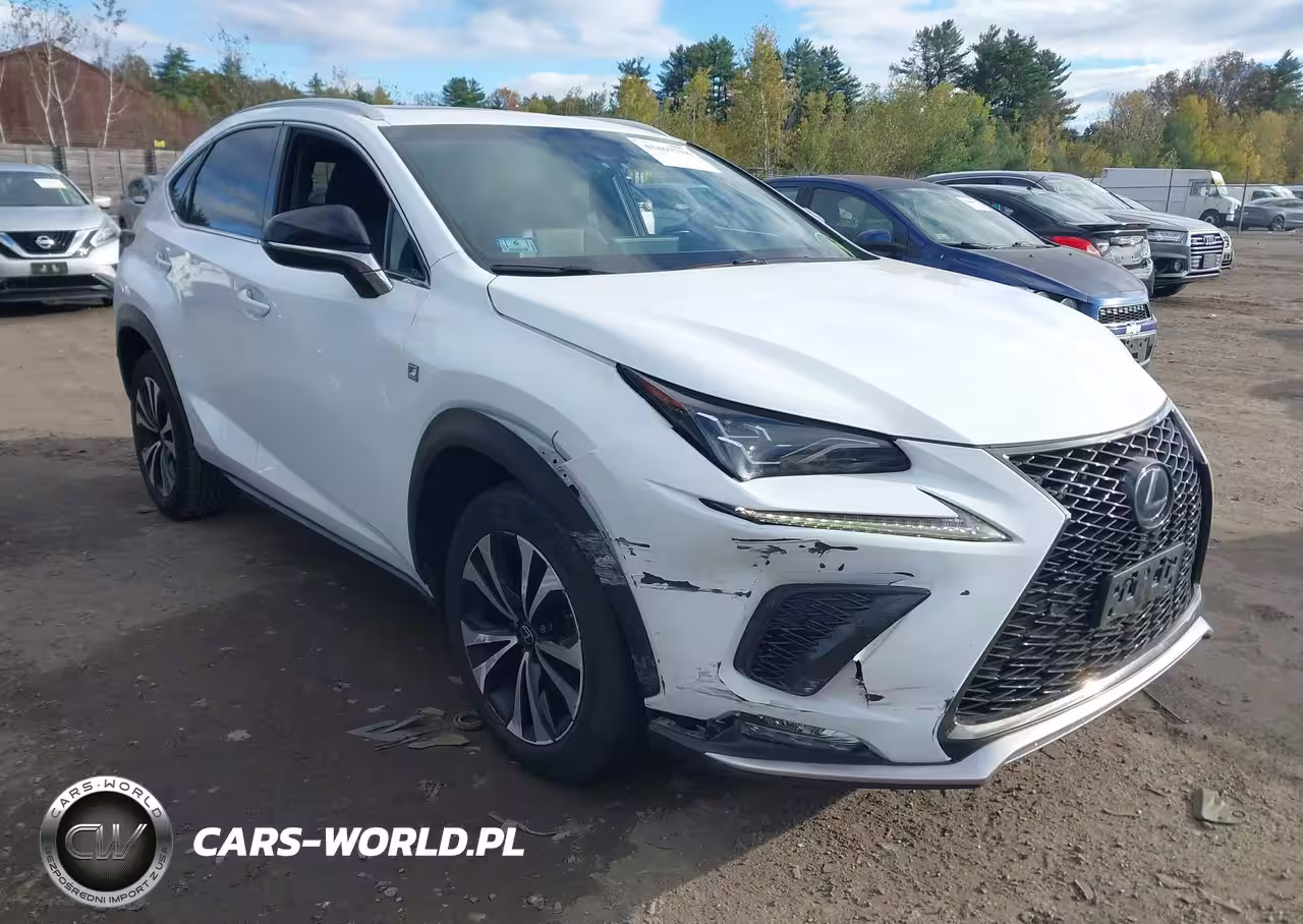2019 Lexus Nx 300 F Sport