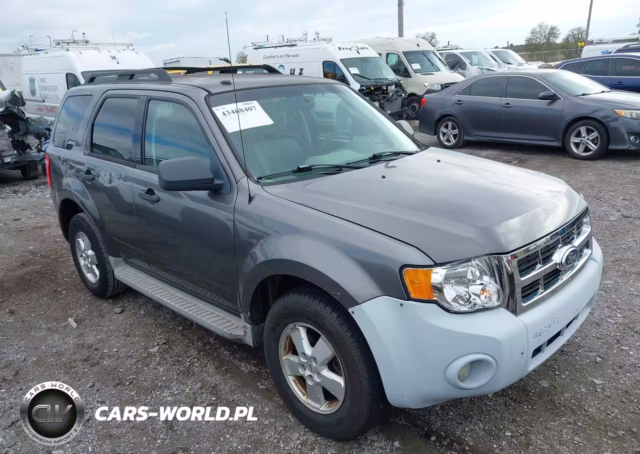 2010 Ford Escape Xlt