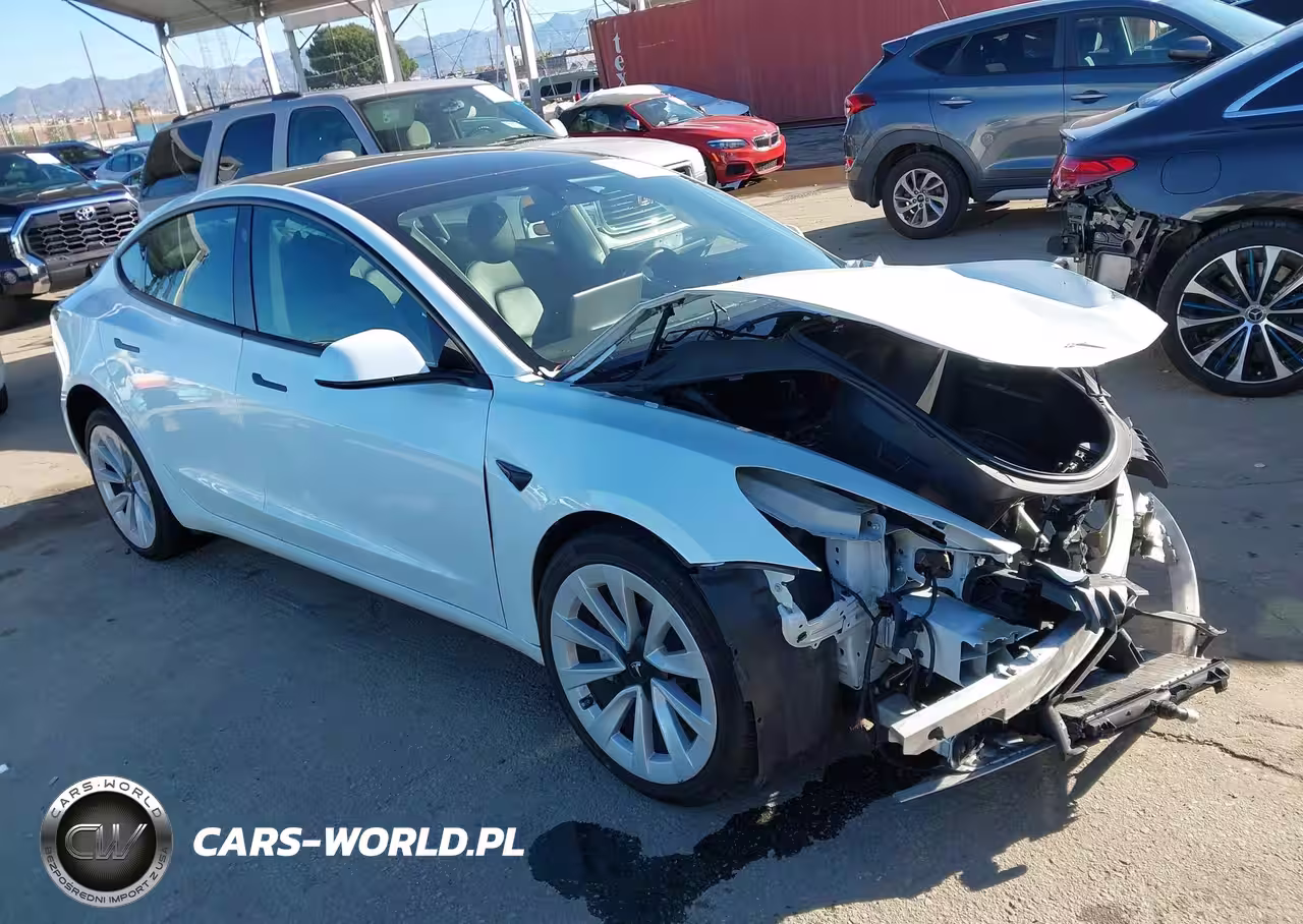 2023 Tesla Model 3 Rear-Wheel Drive