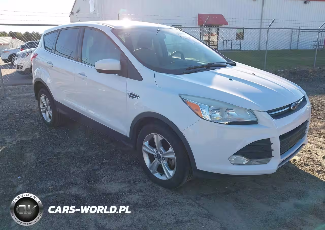 2013 FORD ESCAPE SE