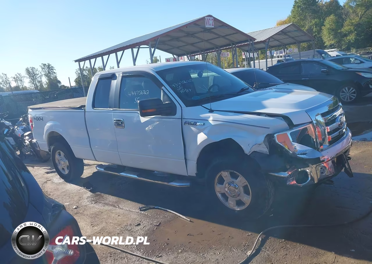 2012 Ford F-150 Xlt VIN:1FTFX1EF1CFA99860 - 13