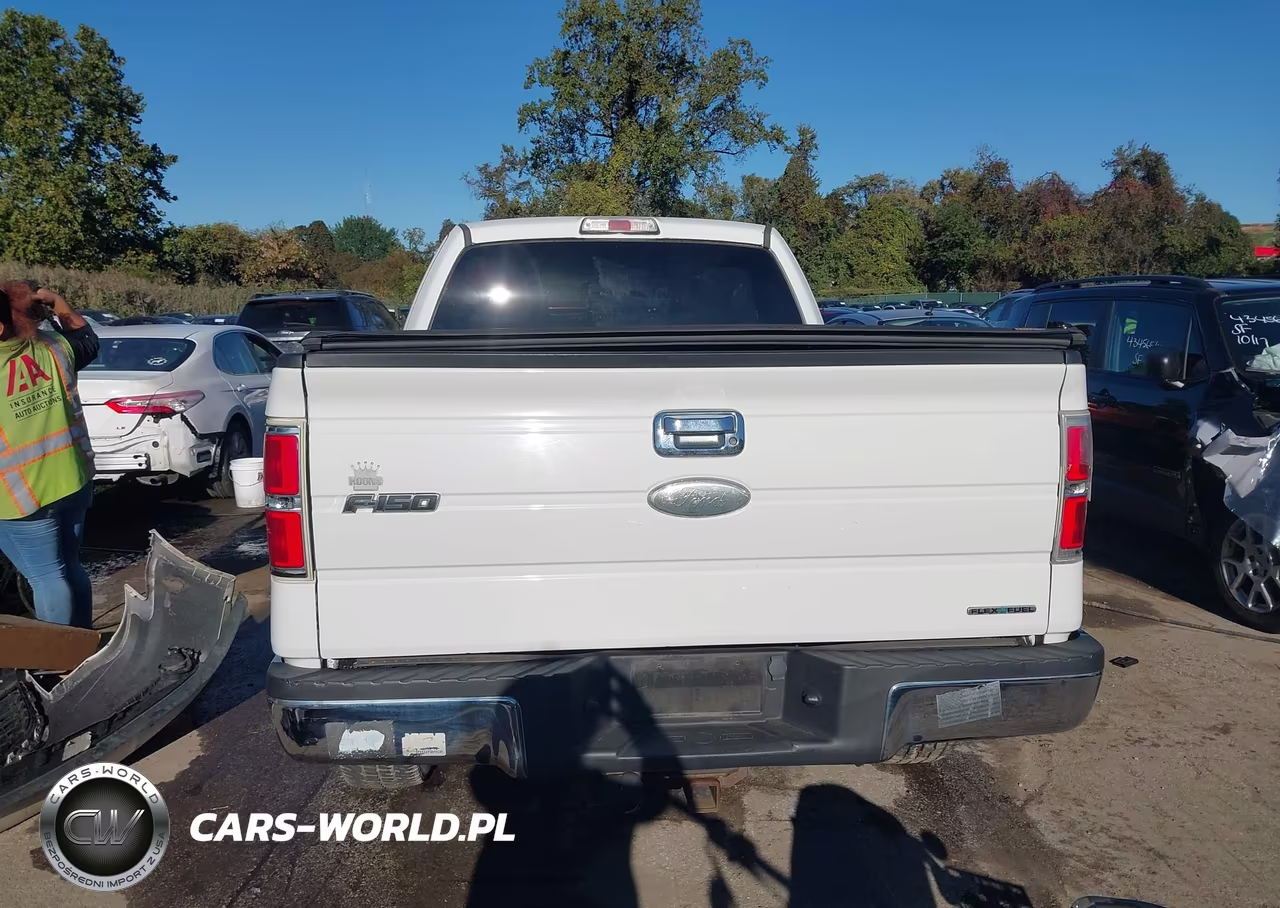 2012 Ford F-150 Xlt VIN:1FTFX1EF1CFA99860 - 16