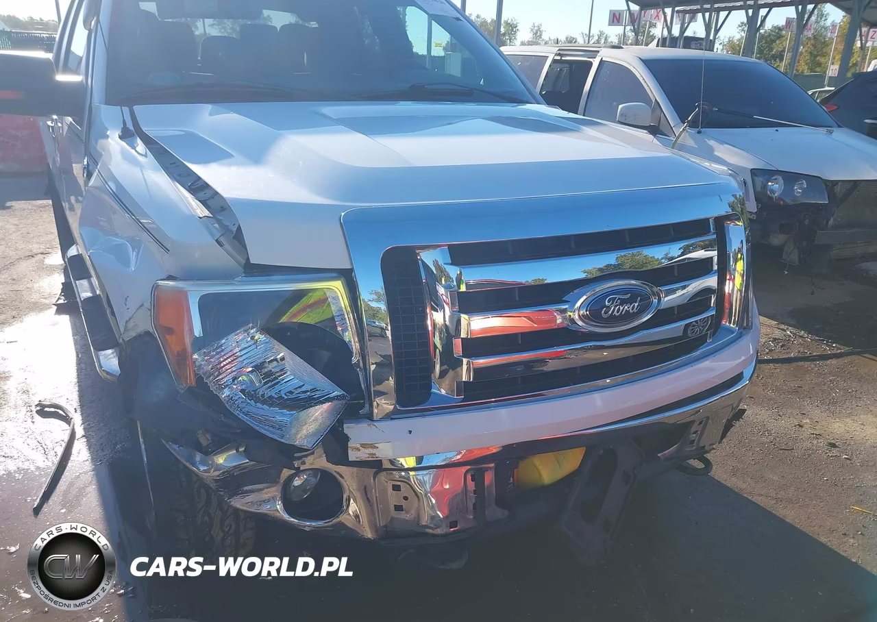 2012 Ford F-150 Xlt VIN:1FTFX1EF1CFA99860 - 17