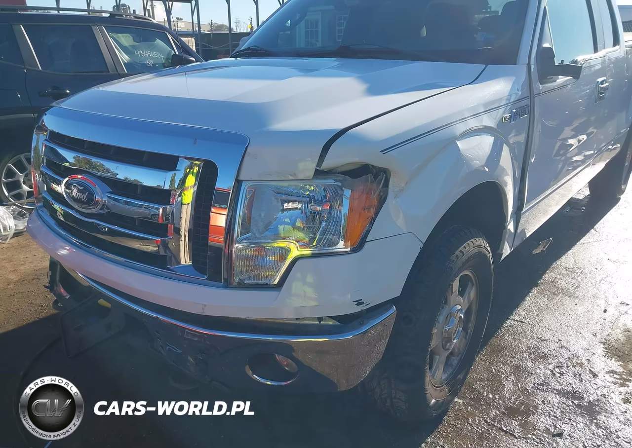 2012 Ford F-150 Xlt VIN:1FTFX1EF1CFA99860 - 18