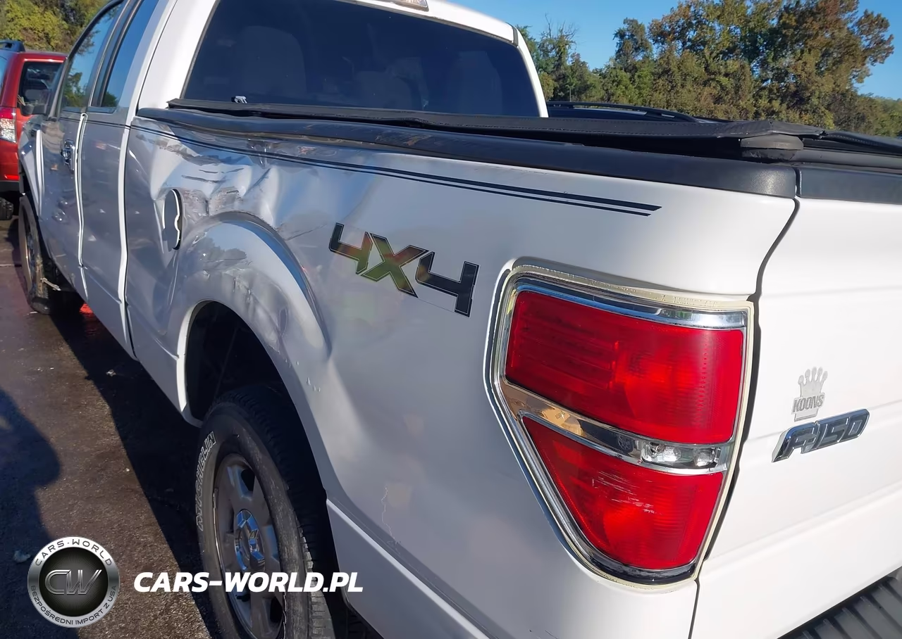 2012 Ford F-150 Xlt VIN:1FTFX1EF1CFA99860 - 19