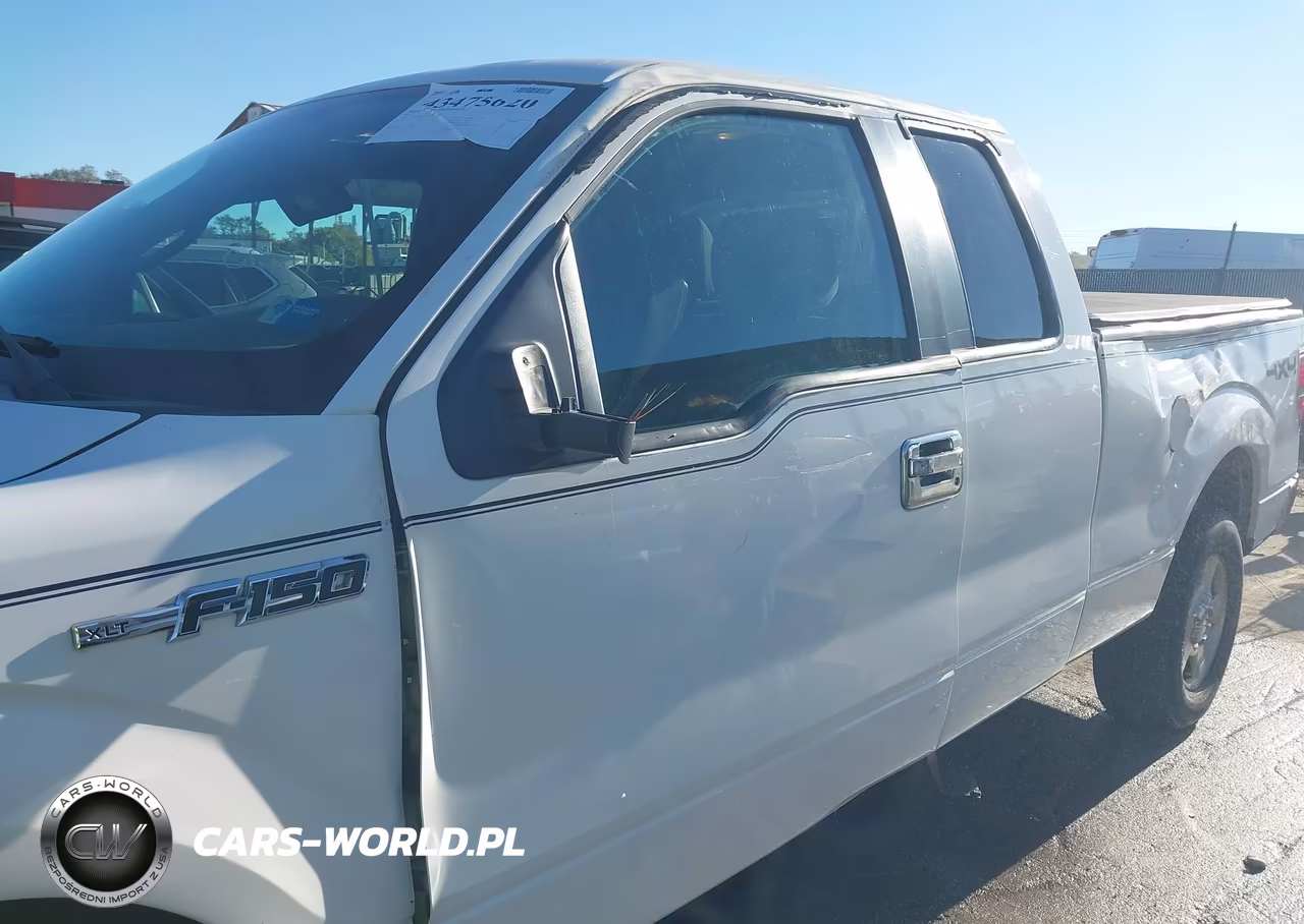 2012 Ford F-150 Xlt VIN:1FTFX1EF1CFA99860 - 20