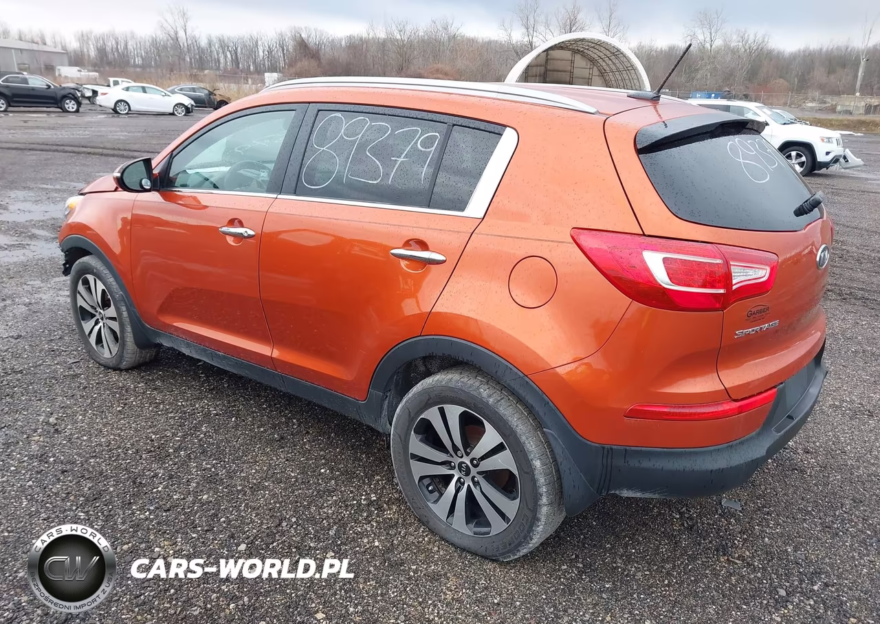 2011 Kia Sportage Ex VIN:KNDPC3A28B7136409 - 3