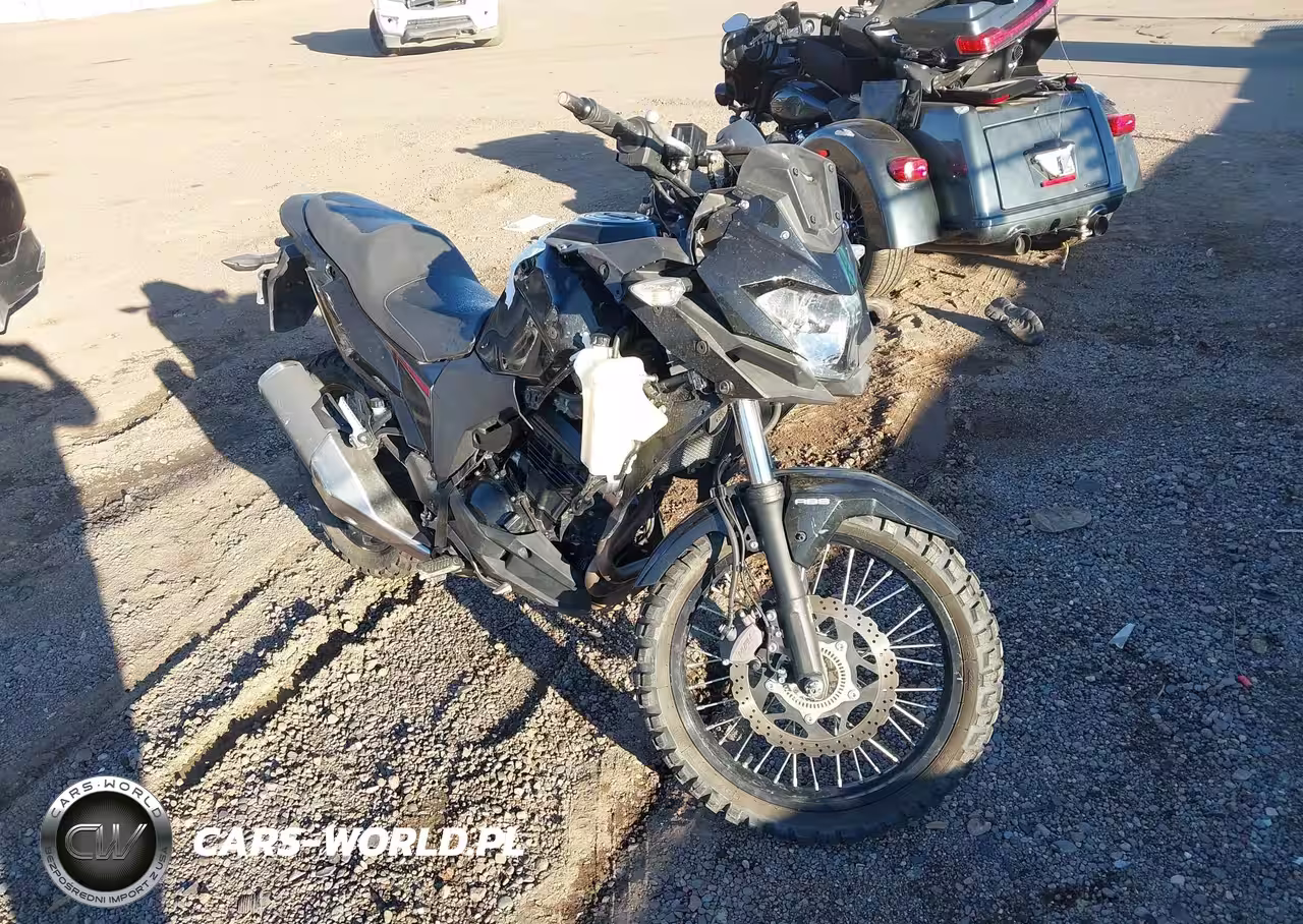 2021 Kawasaki Kle300 C