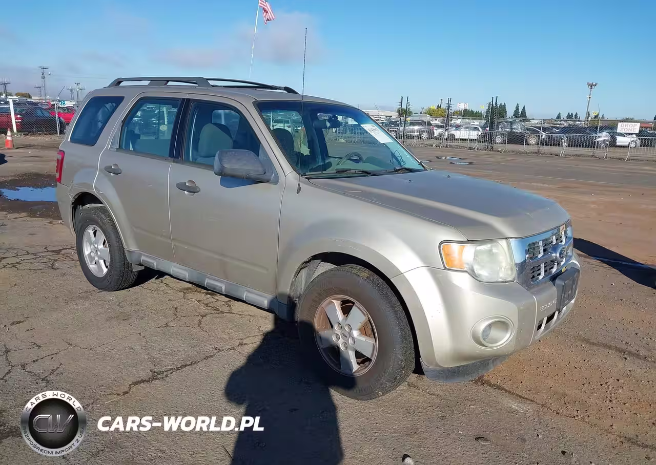 2010 Ford Escape Xls