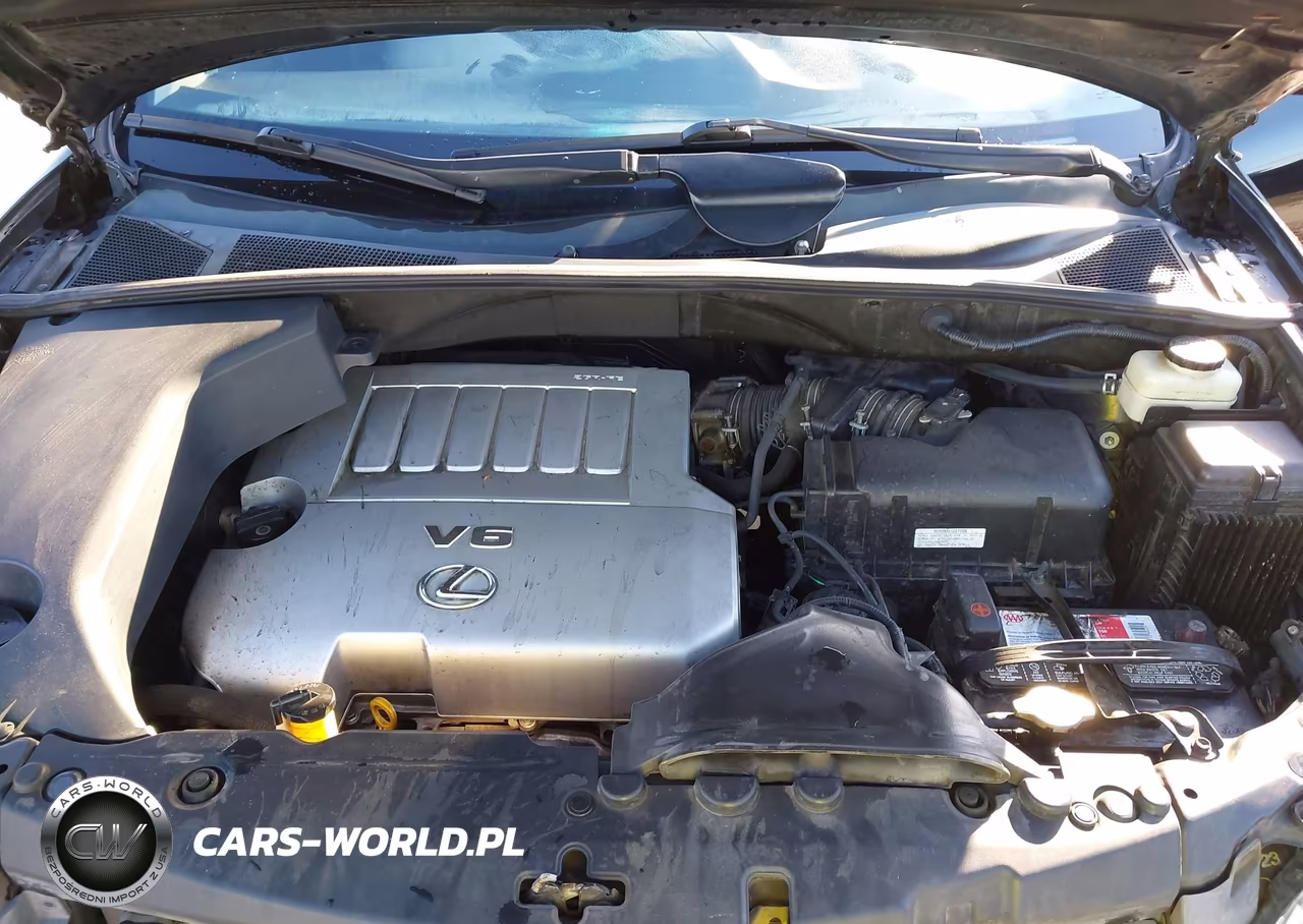2009 Lexus Rx 350 VIN:2T2GK31UX9C068610 - 10