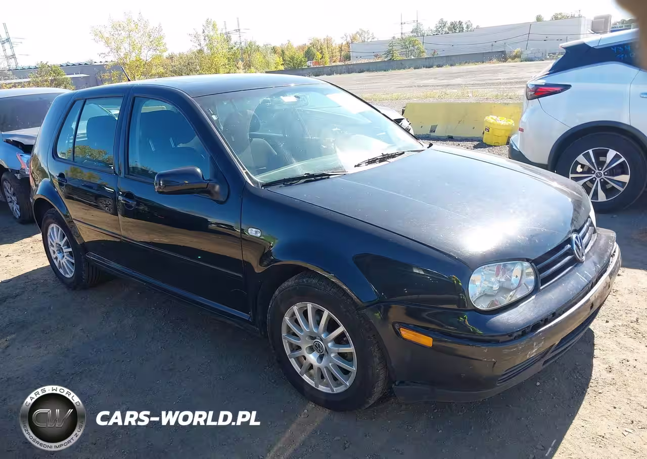 2004 Volkswagen Golf Gls 2.0L
