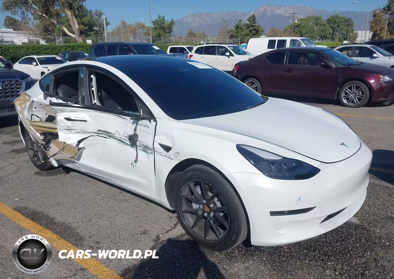 2023 Tesla Model 3 Rear-Wheel Drive