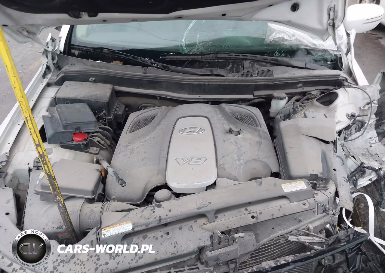 2011 Hyundai Genesis 4.6 VIN:KMHGC4DF5BU114384 - 10