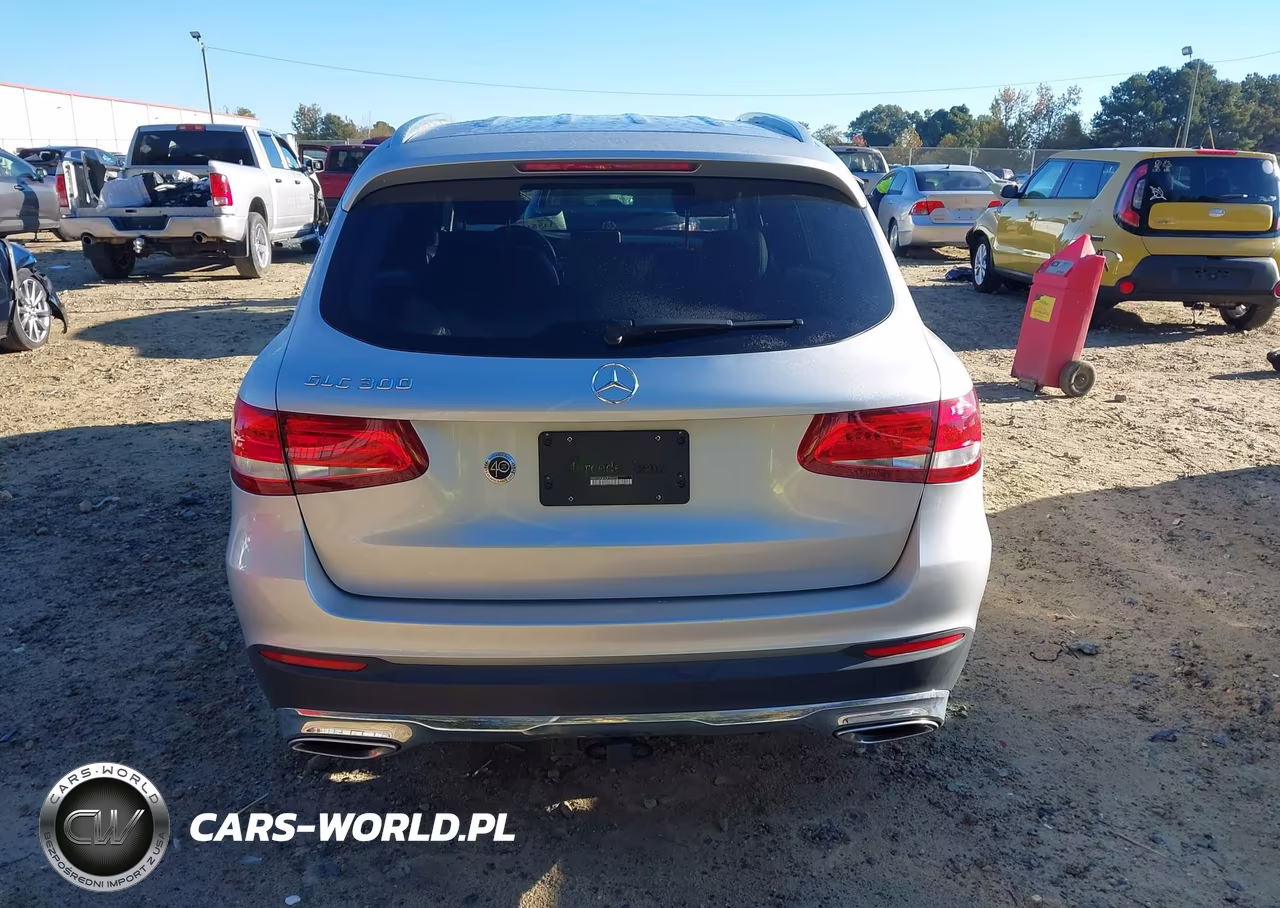 2016 Mercedes-Benz Glc 300 VIN:WDC0G4JB9GF054935 - 15