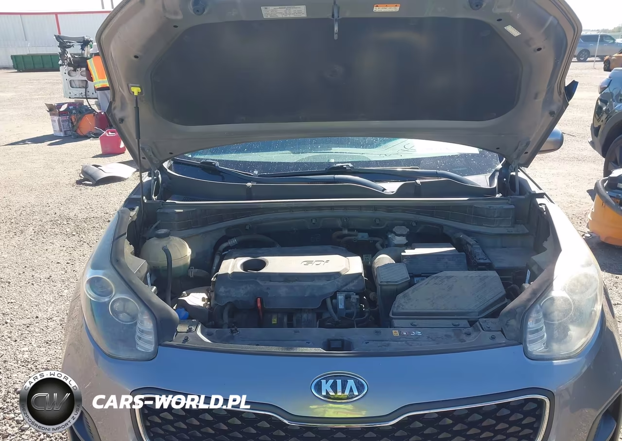2019 Kia Sportage Lx VIN:KNDPM3AC8K7507431 - 10