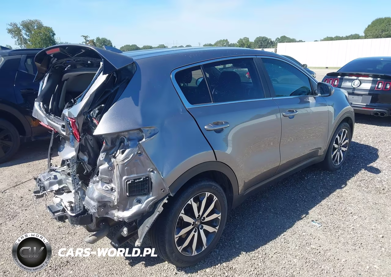 2019 Kia Sportage Lx VIN:KNDPM3AC8K7507431 - 4