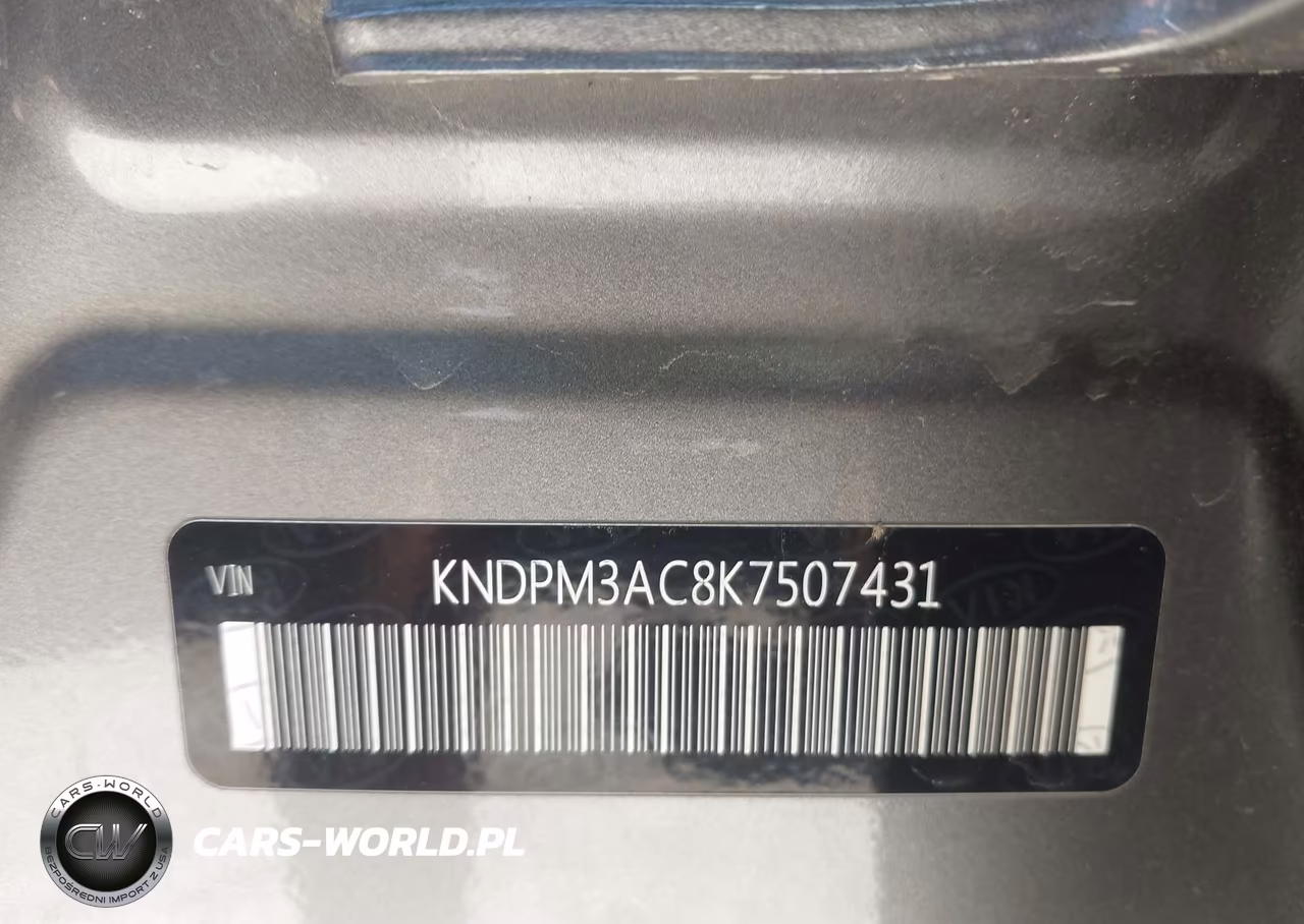 2019 Kia Sportage Lx VIN:KNDPM3AC8K7507431 - 9