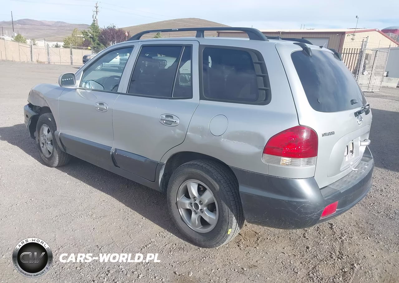 2005 Hyundai Santa Fe Gls VIN:KM8SC73D75U011967 - 3