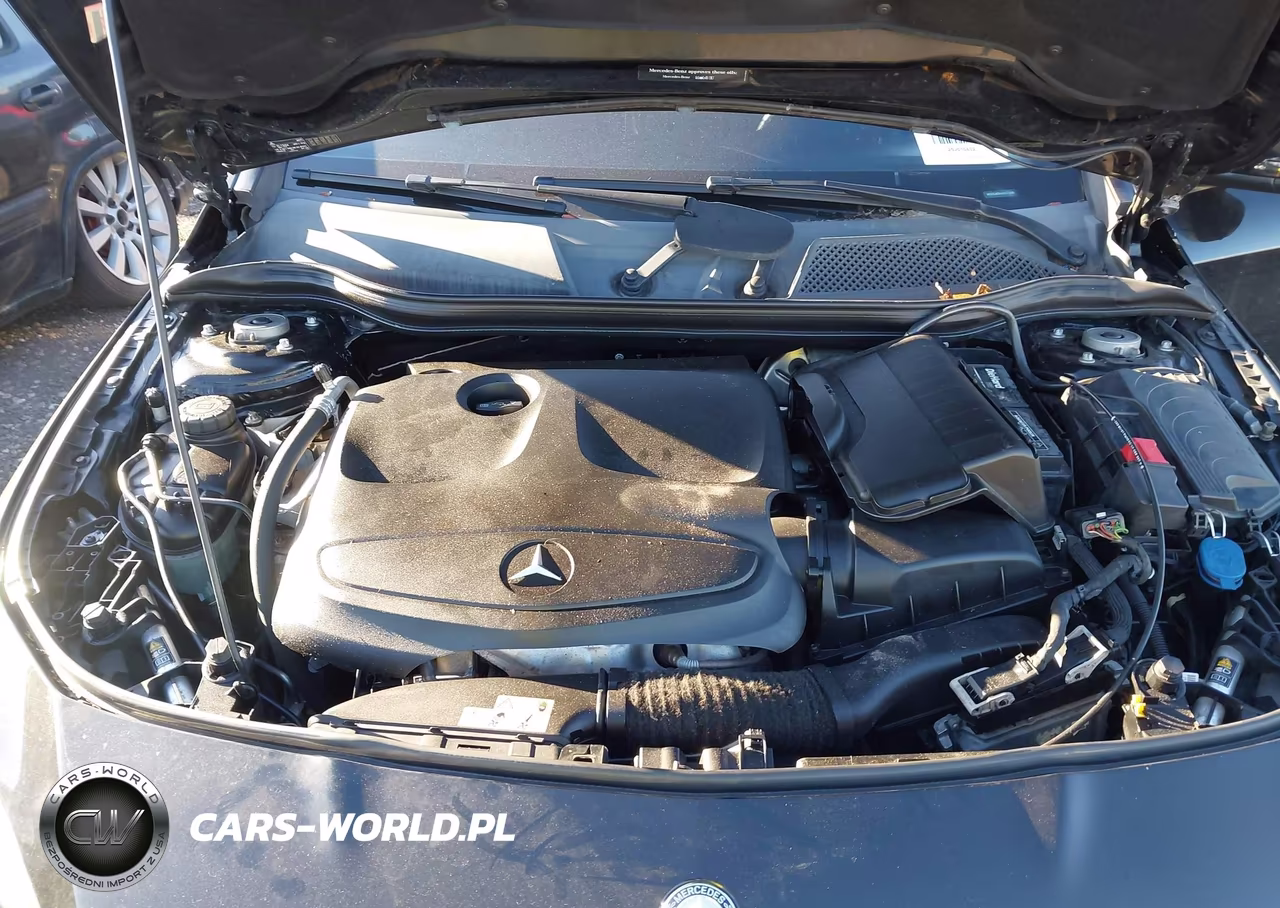2016 Mercedes-Benz Cla 250 VIN:WDDSJ4EB6GN376485 - 10