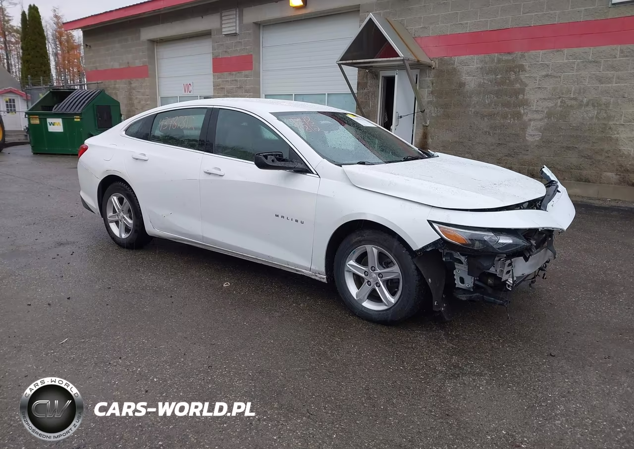 2019 Chevrolet Malibu 1Ls