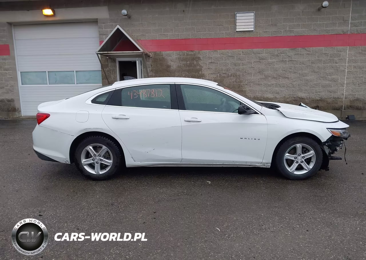 2019 Chevrolet Malibu 1Ls VIN:1G1ZB5ST4KF161286 - 13