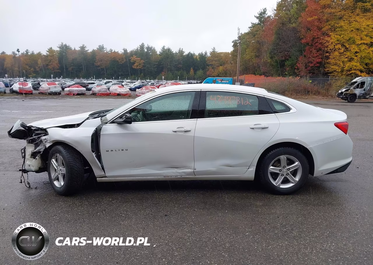 2019 Chevrolet Malibu 1Ls VIN:1G1ZB5ST4KF161286 - 14