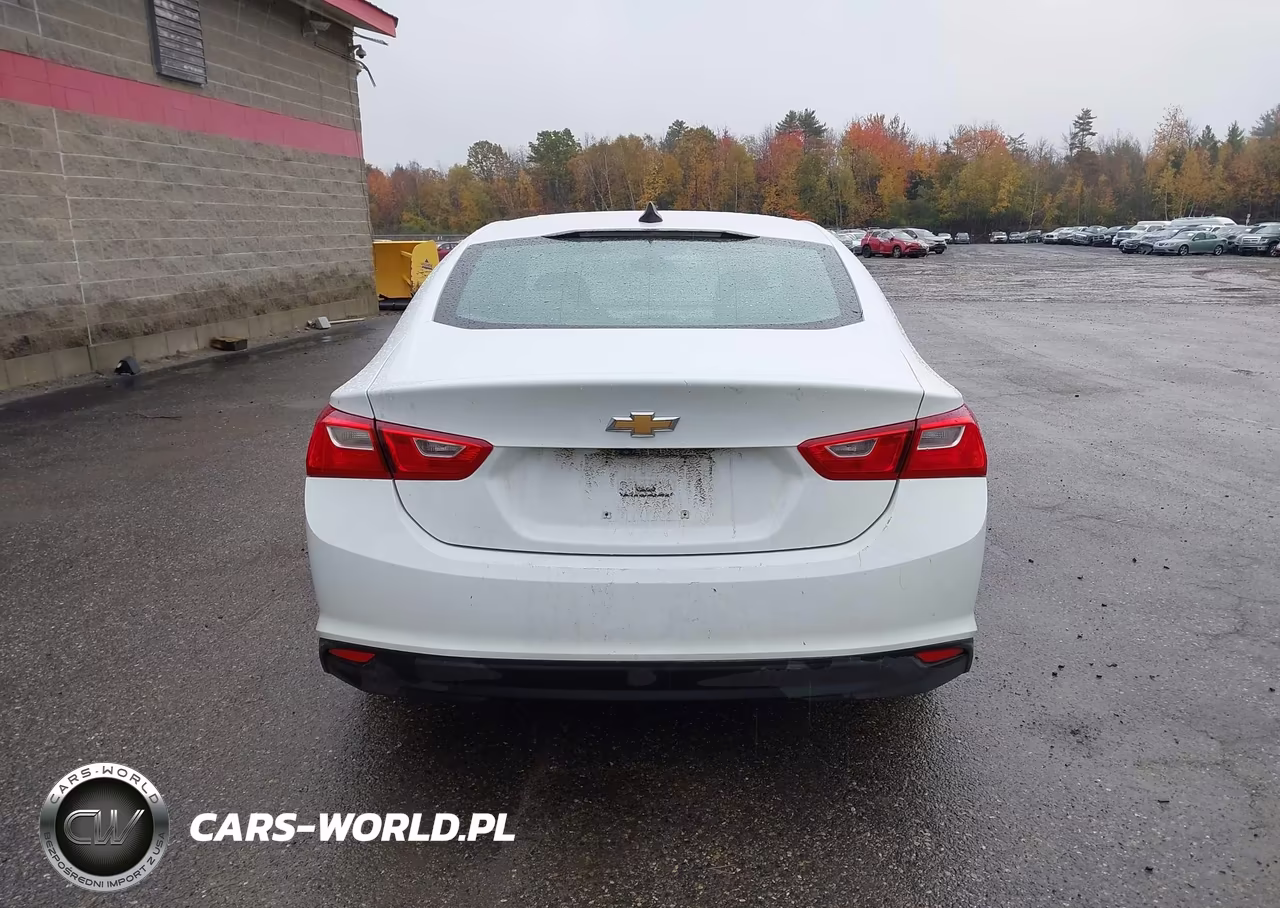 2019 Chevrolet Malibu 1Ls VIN:1G1ZB5ST4KF161286 - 16