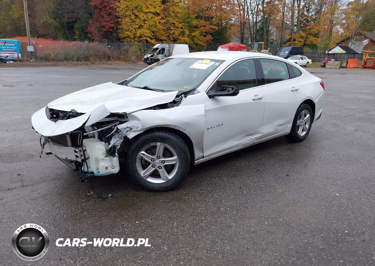 2019 Chevrolet Malibu 1Ls VIN:1G1ZB5ST4KF161286 - 2