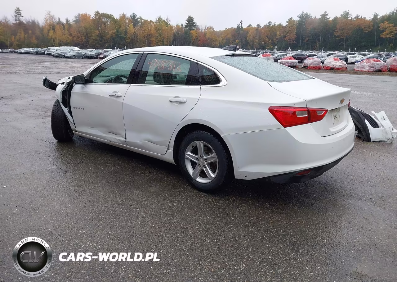 2019 Chevrolet Malibu 1Ls VIN:1G1ZB5ST4KF161286 - 3