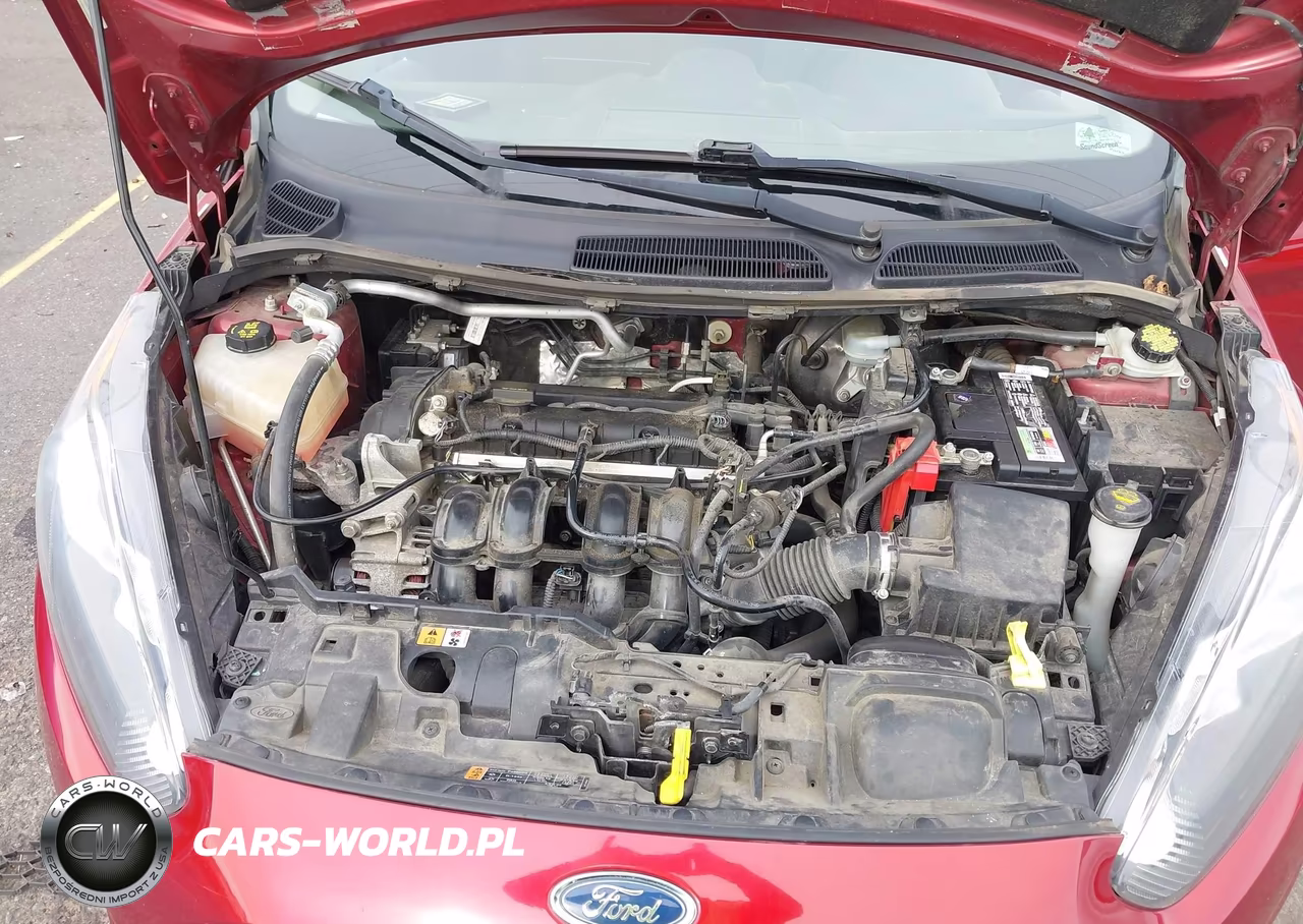 2014 Ford Fiesta Se VIN:3FADP4EJ6EM235891 - 10