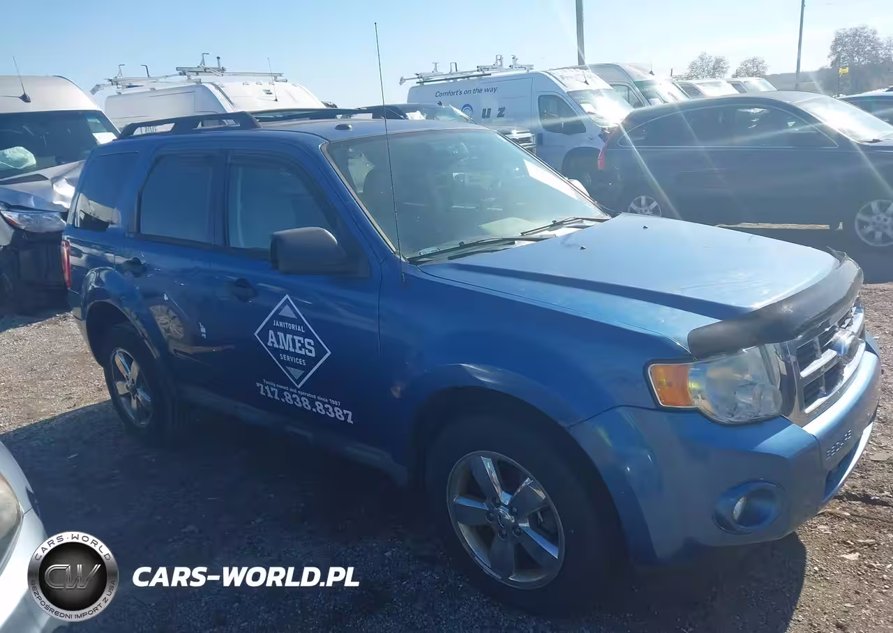 2010 Ford Escape Xlt