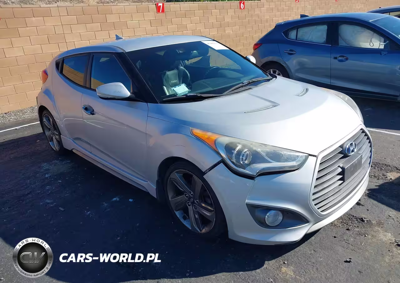2013 Hyundai Veloster Turbo W-Black