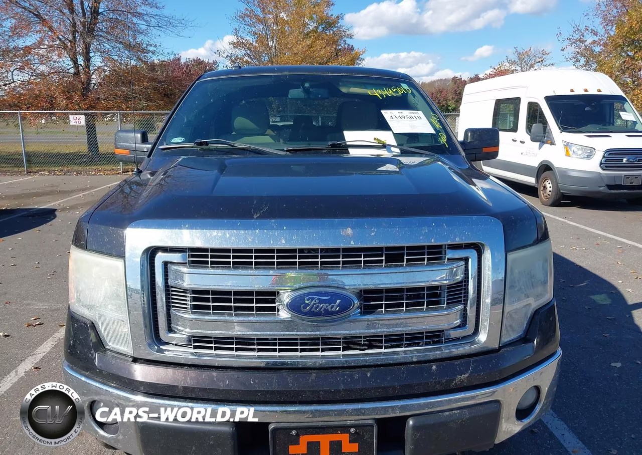 2013 Ford F-150 Xlt VIN:1FTFW1EF8DKE10244 - 12