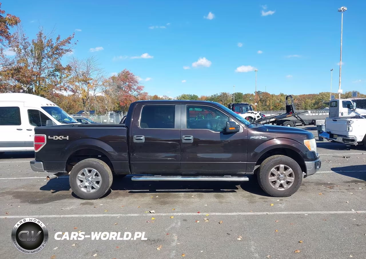 2013 Ford F-150 Xlt VIN:1FTFW1EF8DKE10244 - 13