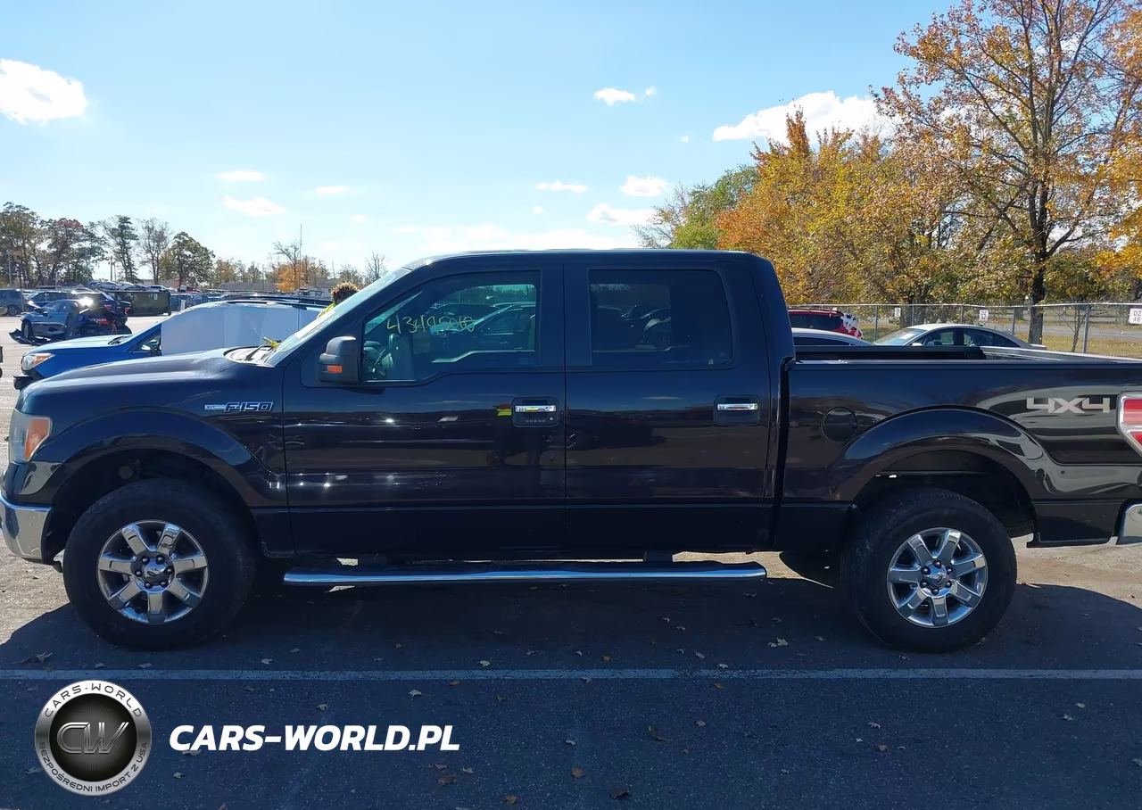 2013 Ford F-150 Xlt VIN:1FTFW1EF8DKE10244 - 14