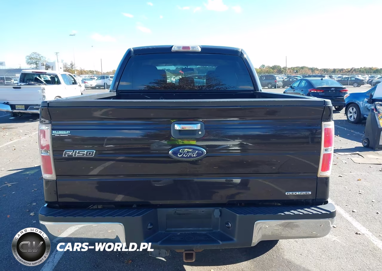 2013 Ford F-150 Xlt VIN:1FTFW1EF8DKE10244 - 16